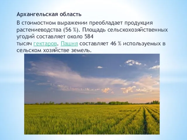 Архангельская область В стоимостном выражении преобладает продукция растениеводства (56 %). Площадь