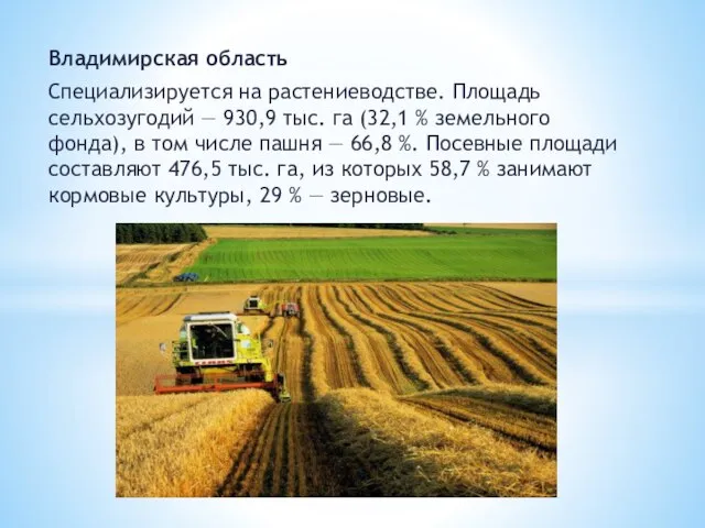 Владимирская область Специализируется на растениеводстве. Площадь сельхозугодий — 930,9 тыс. га