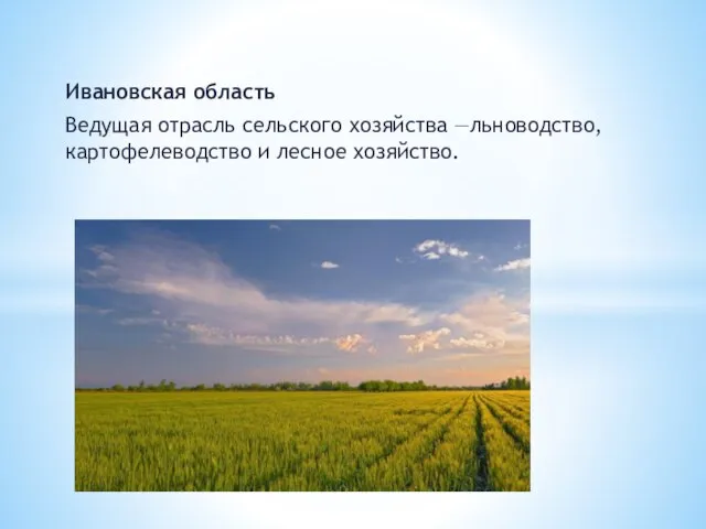 Ивановская область Ведущая отрасль сельского хозяйства —льноводство, картофелеводство и лесное хозяйство.