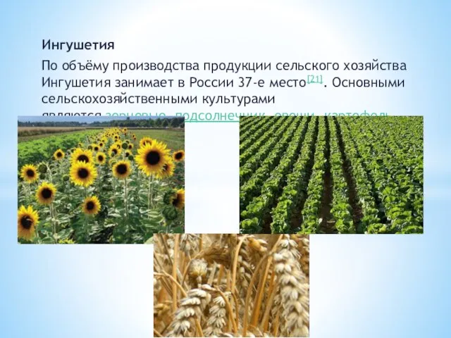 Ингушетия По объёму производства продукции сельского хозяйства Ингушетия занимает в России