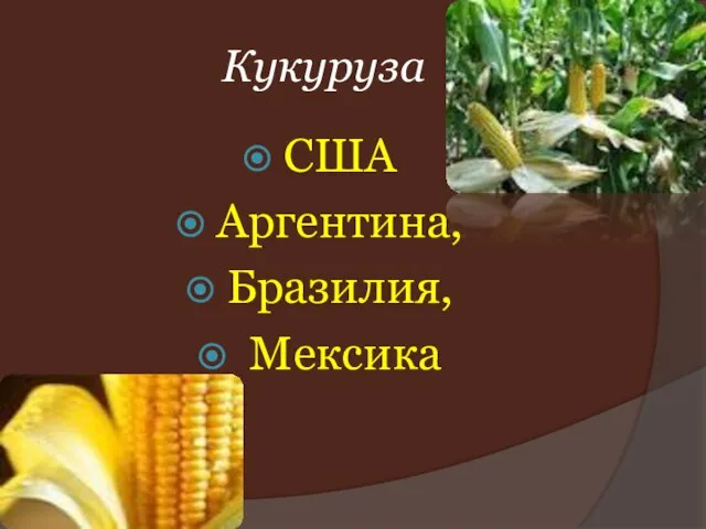 Кукуруза США Аргентина, Бразилия, Мексика