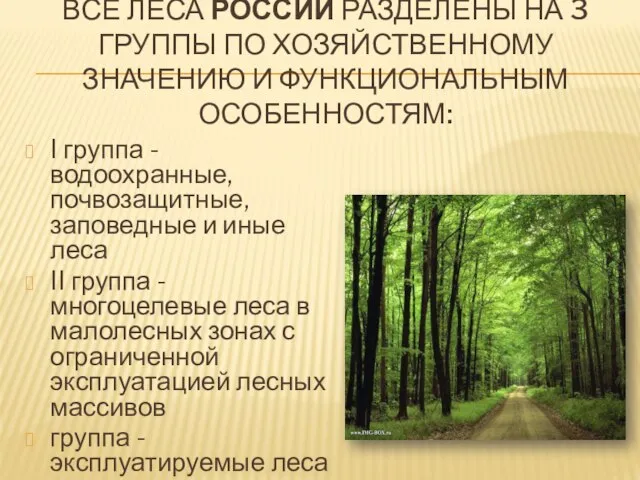 Все леса России разделены на 3 группы по хозяйственному значению и