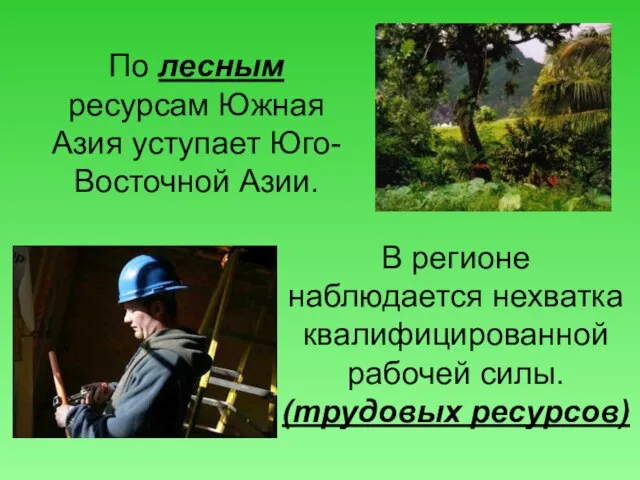 По лесным ресурсам Южная Азия уступает Юго-Восточной Азии. В регионе наблюдается