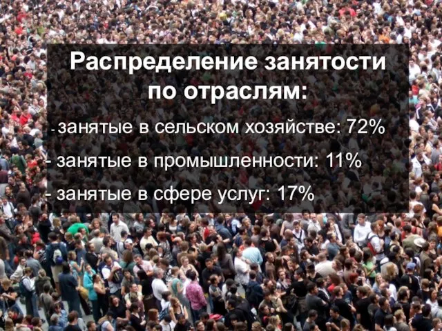 Распределение занятости по отраслям: - занятые в сельском хозяйстве: 72% занятые