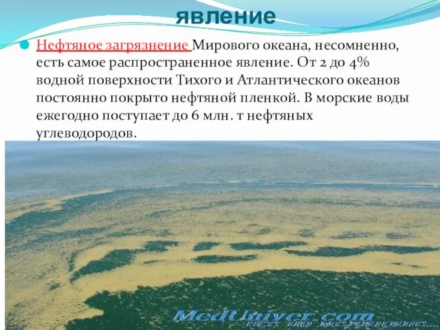 самое распространенное явление Нефтяное загрязнение Мирового океана, несомненно, есть самое распространенное