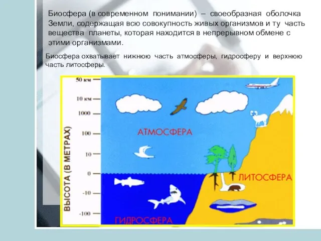 Биосфера (в современном понимании) – своеобразная оболочка Земли, содержащая всю совокупность