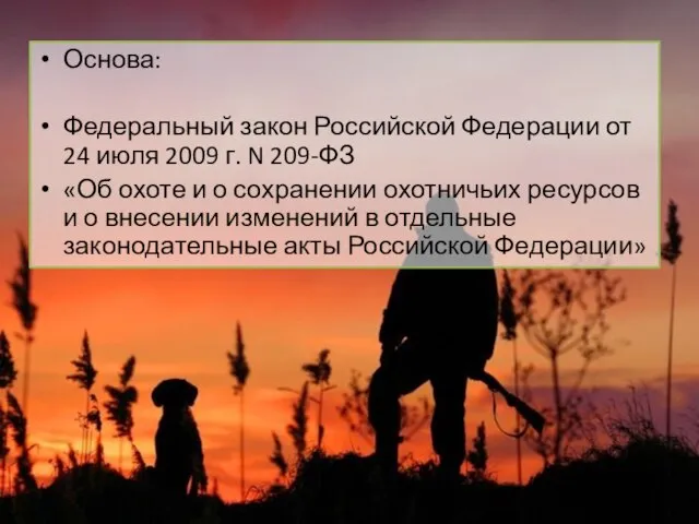 Основа: Федеральный закон Российской Федерации от 24 июля 2009 г. N