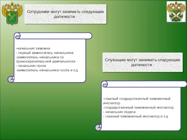 Сотрудники могут занимать следующие должности : -начальник таможни - первый заместитель