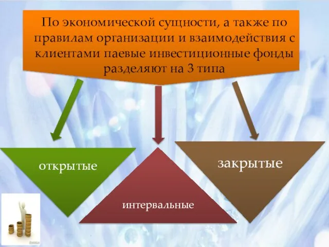 По экономической сущности, а также по правилам организации и взаимодействия с