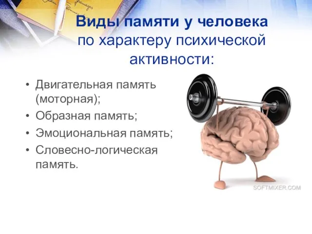 Виды памяти у человека по характеру психической активности: Двигательная память(моторная); Образная память; Эмоциональная память; Словесно-логическая память.