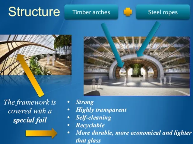 Structure Timber arches Steel ropes The framework is covered with a