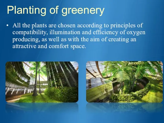 Planting of greenery All the plants are chosen according to principles