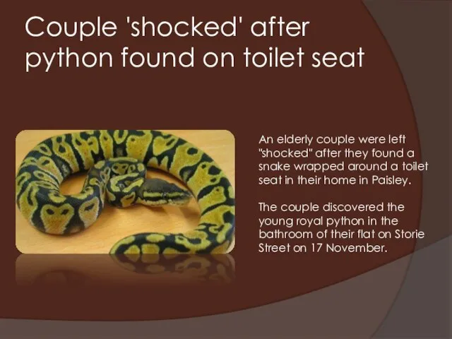 Couple 'shocked' after python found on toilet seat An elderly couple