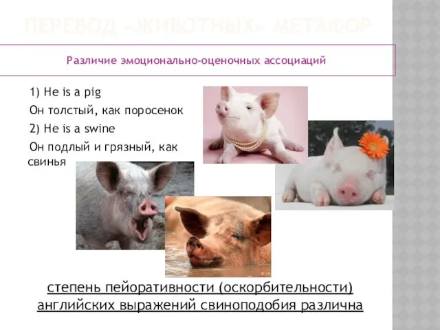 Перевод «животных» метафор Различие эмоционально-оценочных ассоциаций 1) Не is a pig