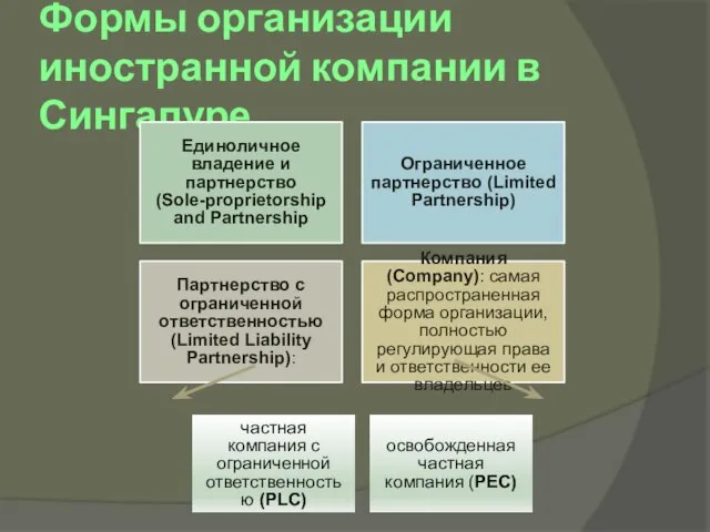 Формы организации иностранной компании в Сингапуре