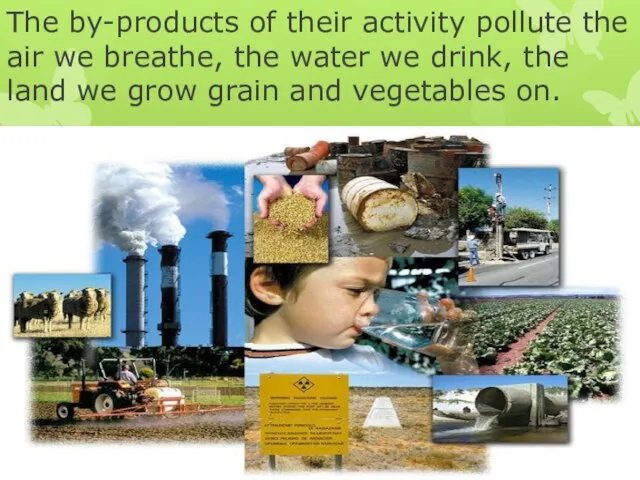 The by-products of their activity pollute the air we breathe, the