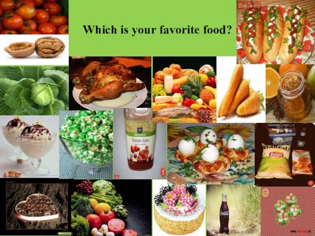 Which is your favorite food?