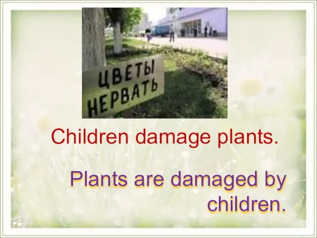 Children damage plants. Plants are damaged by children.