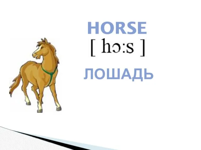 HORSE ЛОШАДЬ