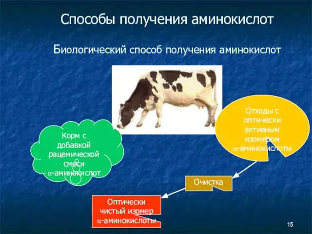 Способы получения аминокислот Биологический способ получения аминокислот Корм с добавкой рацемической