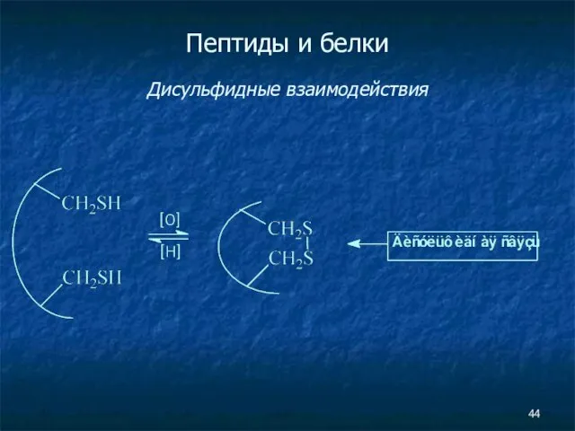 Пептиды и белки Дисульфидные взаимодействия