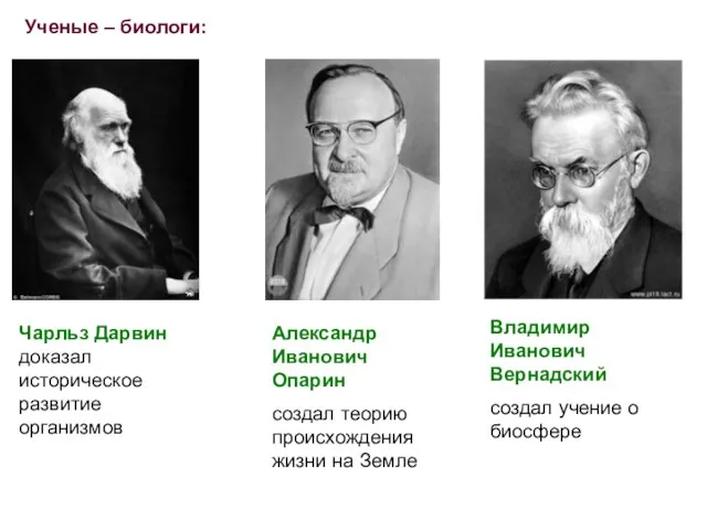 Ученые – биологи: Чарльз Дарвин доказал историческое развитие организмов Александр Иванович