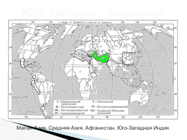 Юго-Западно - азиатский Малая Азия, Средняя Азия, Афганистан, Юго-Западная Индия.