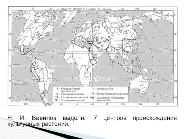 Н. И. Вавилов выделил 7 центров происхождения культурных растений.