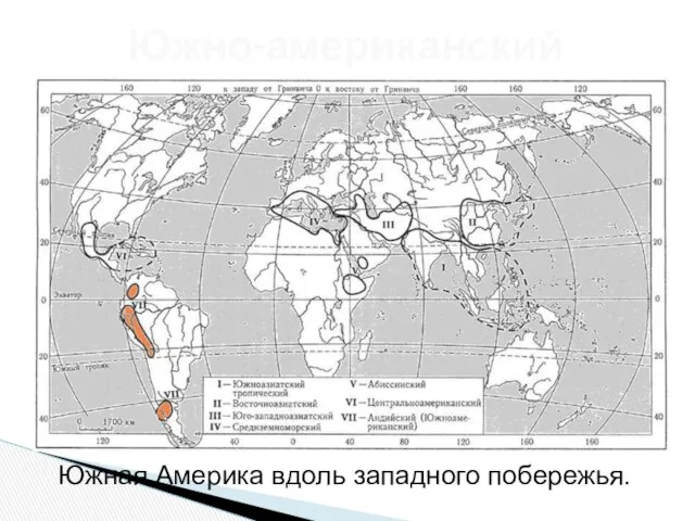 Южно-американский Южная Америка вдоль западного побережья.