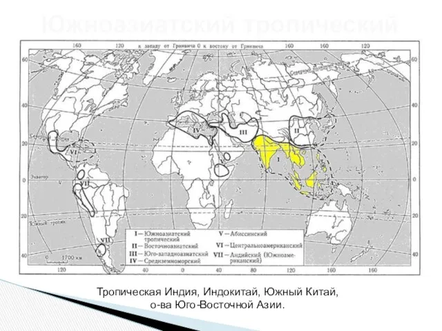 Южноазиатский тропический Тропическая Индия, Индокитай, Южный Китай, о-ва Юго-Восточной Азии.