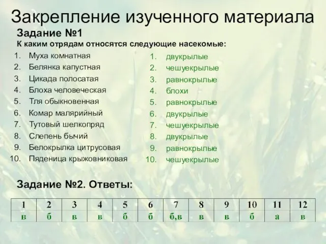 Закрепление изученного материала Задание №1 К каким отрядам относятся следующие насекомые: