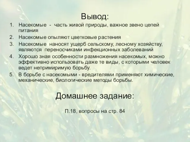 Вывод: Насекомые - часть живой природы, важное звено цепей питания Насекомые