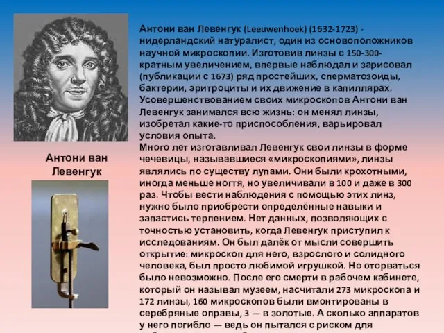 Антони ван Левенгук 1632-1723 Антони ван Левенгук (Leeuwenhoek) (1632-1723) - нидерландский