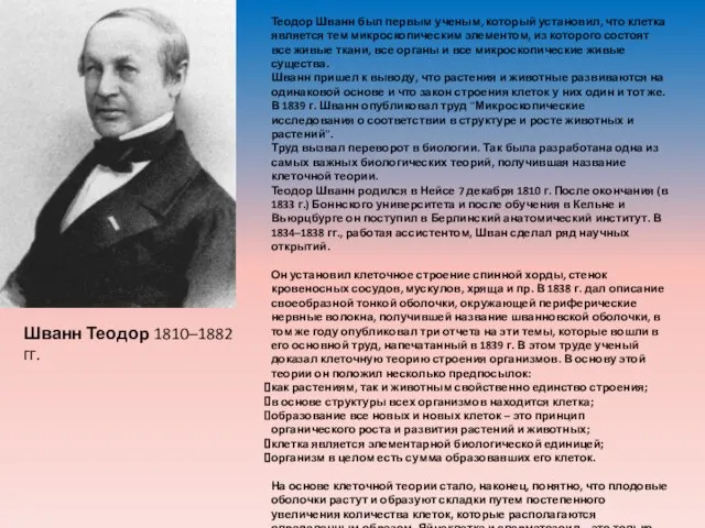 Шванн Теодор 1810–1882 гг. Теодор Шванн был первым ученым, который установил,