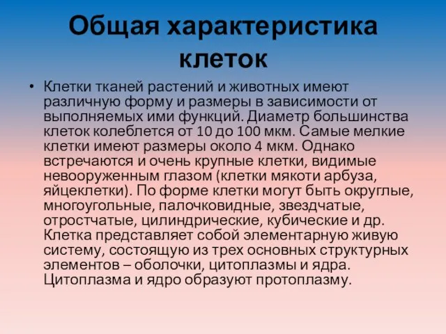 Общая характеристика клеток Клетки тканей растений и животных имеют различную форму