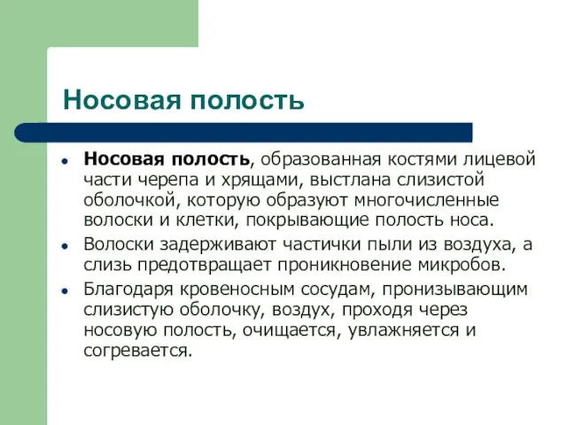 Носовая полость Носовая полость, образованная костями лицевой части черепа и хрящами,