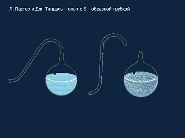 Л. Пастер и Дж. Тиндаль – опыт с S – образной трубкой