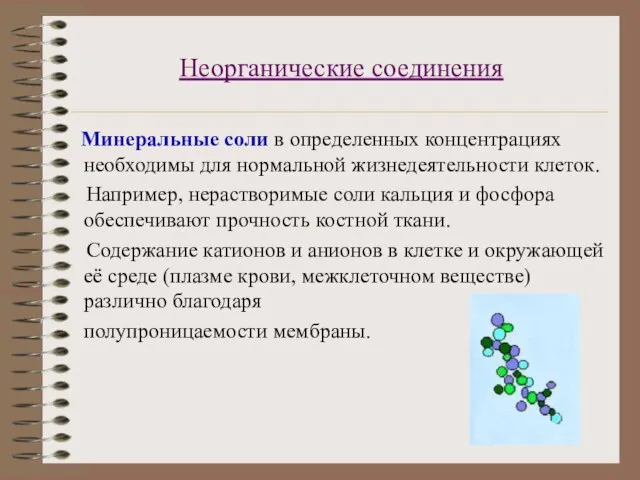 Неорганические соединения Минеральные соли в определенных концентрациях необходимы для нормальной жизнедеятельности