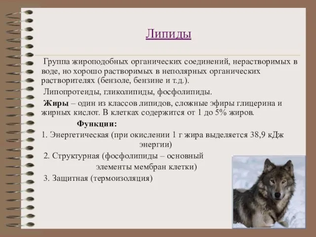 Липиды Группа жироподобных органических соединений, нерастворимых в воде, но хорошо растворимых