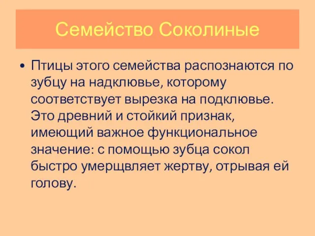 Семейство Соколиные Птицы этого семейства распознаются по зубцу на надклювье, которому