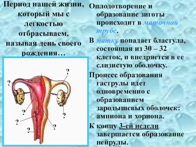 Период нашей жизни, который мы с легкостью отбрасываем, называя день своего