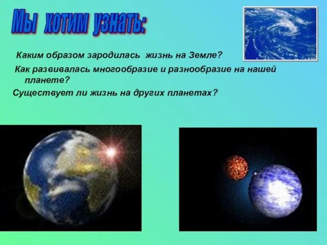 Каким образом зародилась жизнь на Земле? Как развивалась многообразие и разнообразие