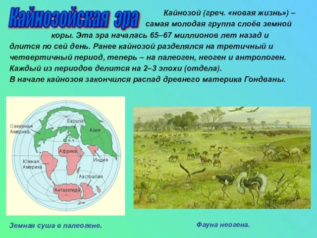 Кайнозой (греч. «новая жизнь») – самая молодая группа слоёв земной коры.