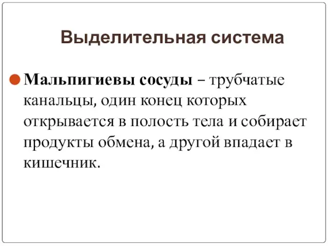 Выделительная система Мальпигиевы сосуды – трубчатые канальцы, один конец которых открывается