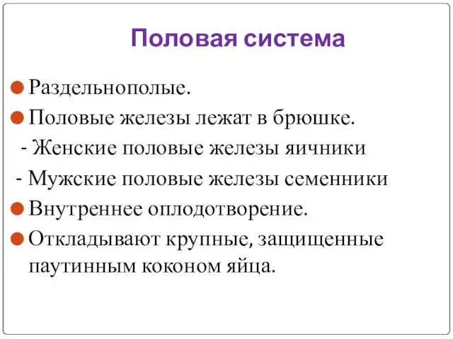 Половая система Раздельнополые. Половые железы лежат в брюшке. - Женские половые