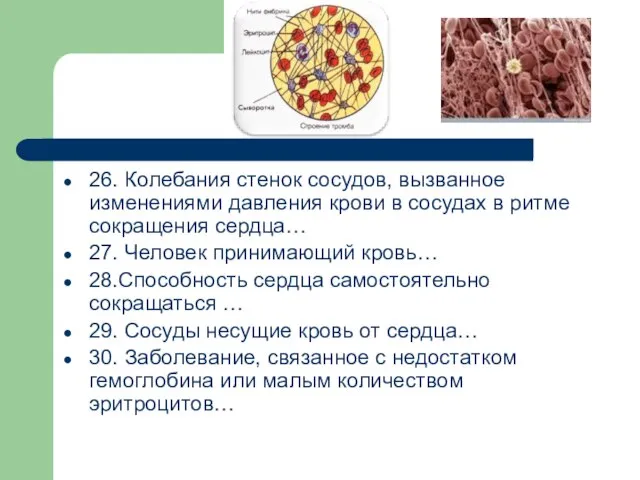 26. Колебания стенок сосудов, вызванное изменениями давления крови в сосудах в