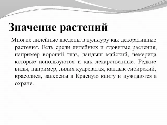 Значение растений Многие лилейные введены в культуру как декоративные растения. Есть