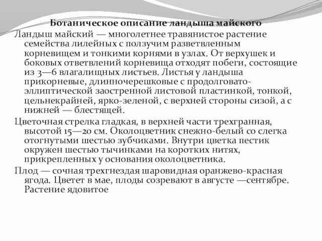 Ботаническое описание ландыша майского Ландыш майский — многолетнее травянистое растение семейства