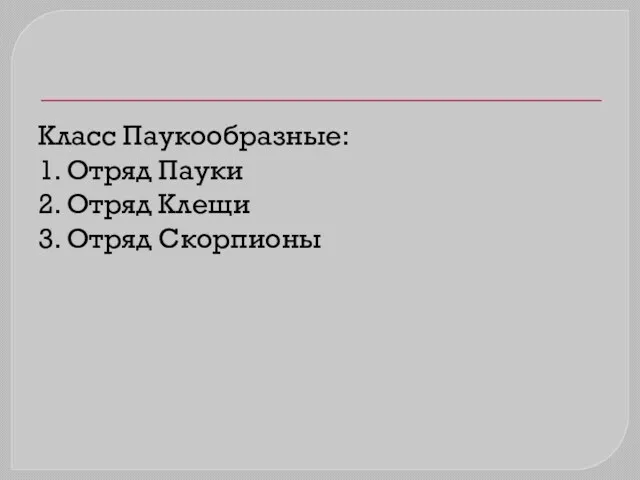 Класс Паукообразные: 1. Отряд Пауки 2. Отряд Клещи 3. Отряд Скорпионы