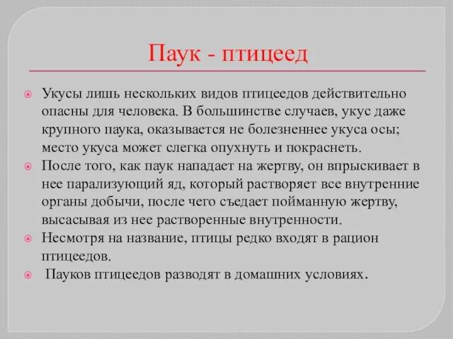 Паук - птицеед Укусы лишь нескольких видов птицеедов действительно опасны для